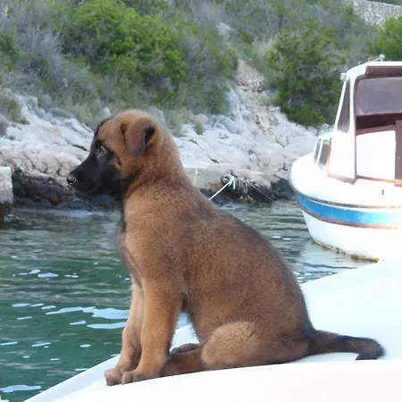 Lejlighed In Hvar Town With Sea View, Terrace, Air Conditioning, Wi-fi Hvar Town